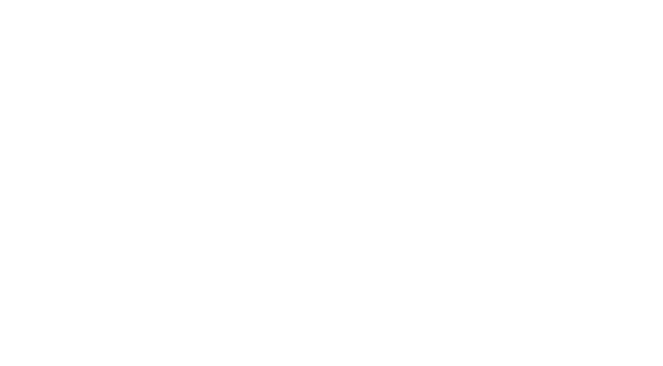 BOLT TRANSFERS WHITE-01